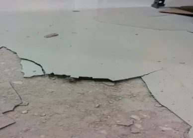 A sheet of epoxy lifted clean off the concrete where the coating never bonded